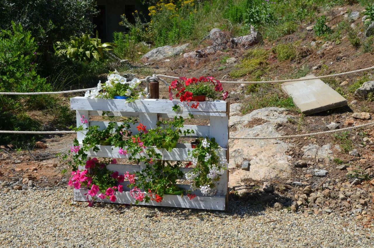 Agriturismo Tendapiccola Ceriale Eksteriør bilde