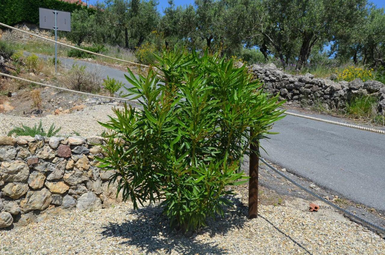 Agriturismo Tendapiccola Ceriale Eksteriør bilde